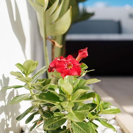 Villa Palmera Jacuzzi Yaiza (Lanzarote) Exterior foto